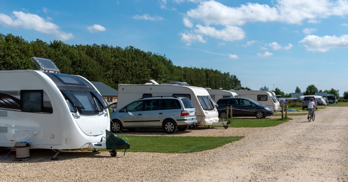 A row of touring caravans at a rally, pitched on a campsite.